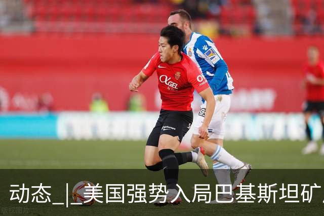 动态 | 美国强势入局巴基斯坦矿产，中巴经济走廊面临新挑战？