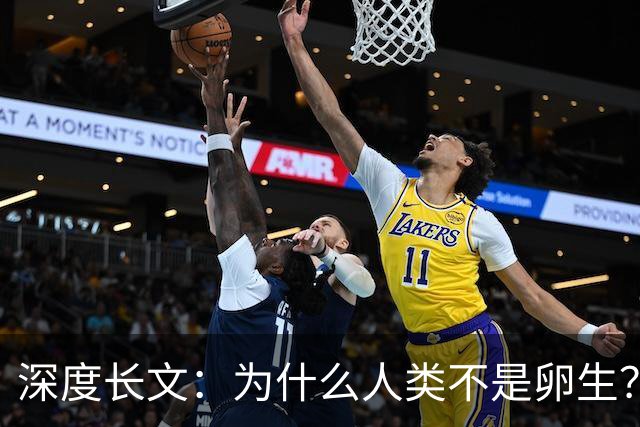 深度长文:为什么人类不是卵生?说出来你可能不信,这事3亿年前就定好了